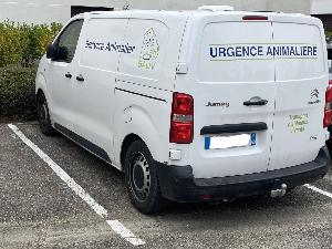 Le transport d'animaux par des professionnels : tout ce que vous devez savoir